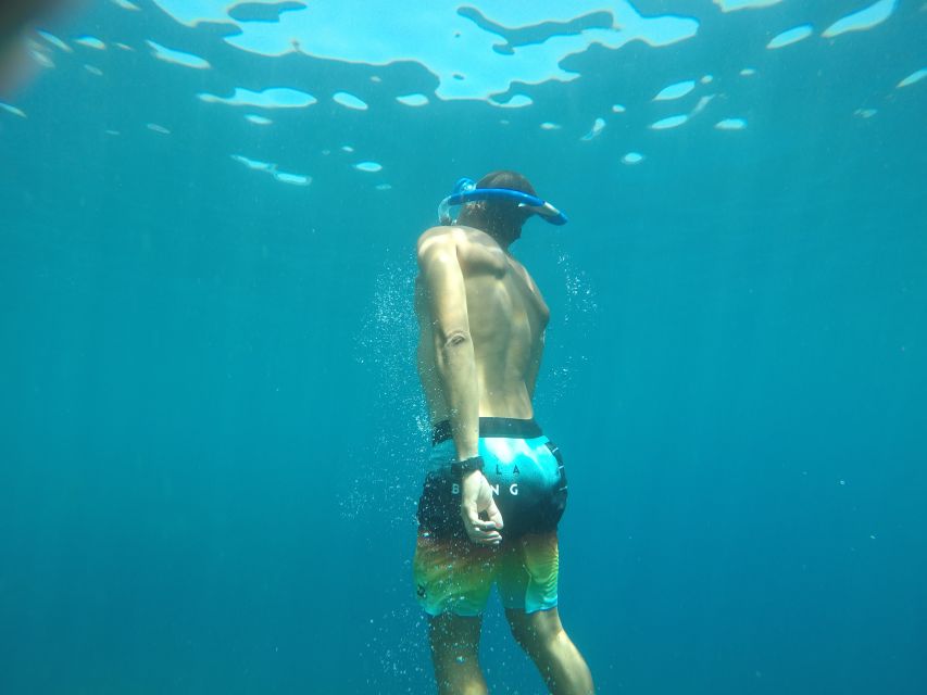 Madeira: Garajau Nature Reserve Kayak and Snorkel Tour - A pebble beach and old coastal rock features