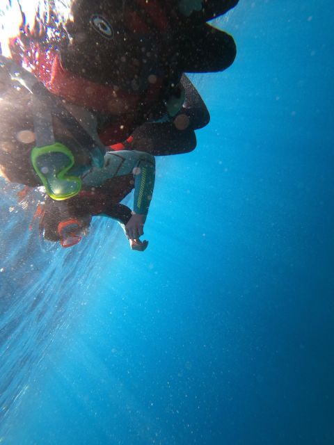 Madeira: Half-Day Coasteering Tour - Key points to know before you book