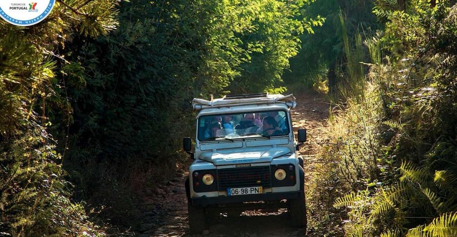 Madeira: Half-Day Nun's Valley and Sea Cliff Tour - Why this Madeira Jeep tour works so well in half a day