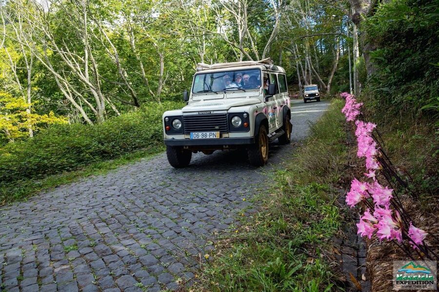 Madeira: Half-Day Nun's Valley and Sea Cliff Tour - From Funchal to Estreito de Câmara de Lobos