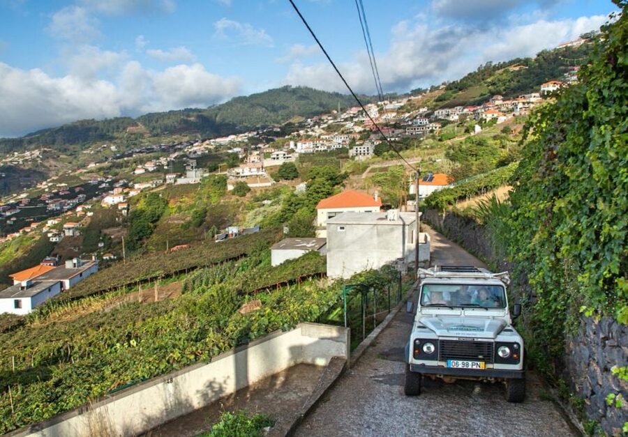 Madeira: Half-Day Nun's Valley and Sea Cliff Tour - Cabo Girão, Madeiras high coastal pause
