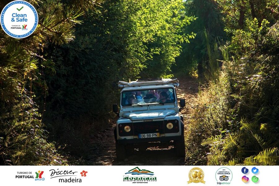 Madeira: Half-Day Nun's Valley and Sea Cliff Tour - What $55 buys you