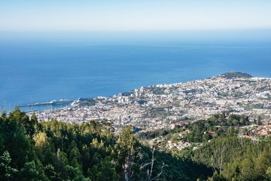 Madeira: Half-Day Pico Arieiro Jeep Tour - Hotel pickup keeps the morning simple