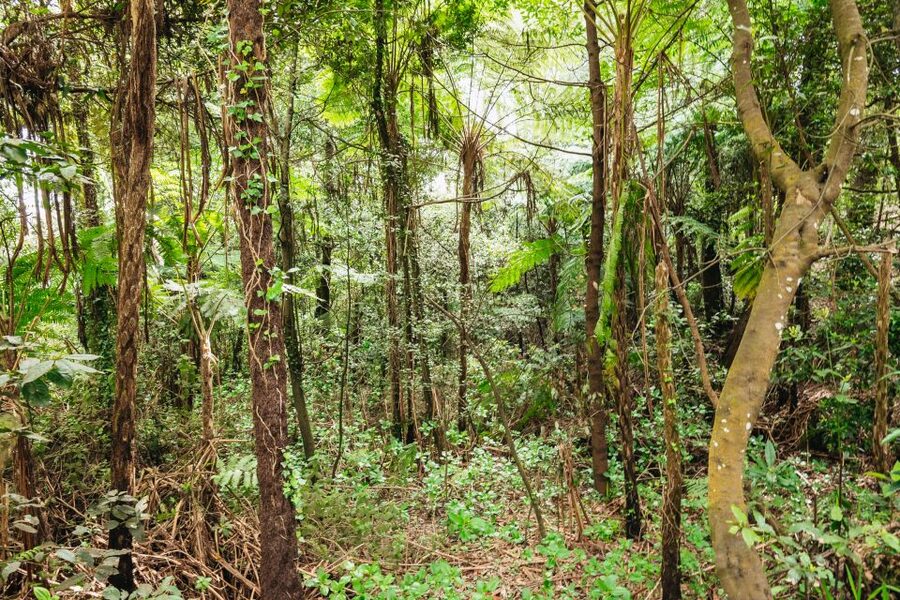 Madeira: Half-Day Pico Arieiro Jeep Tour - Machico connects the scenery with Madeira’s early story