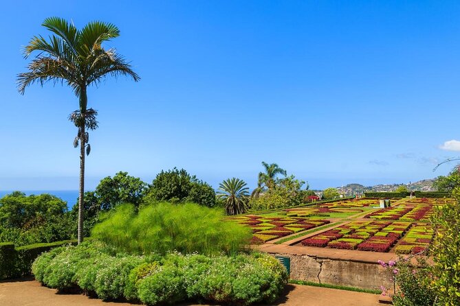 Madeira Highlights: Toboggan, Garden & Cable Car (All-Inclusive) - Key points to know before you book
