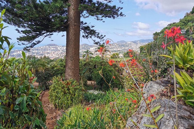 Madeira Highlights: Toboggan, Garden & Cable Car (All-Inclusive) - Timing, weather, and practical planning