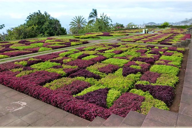Madeira Highlights: Toboggan, Garden & Cable Car (All-Inclusive) - Should you book Madeira Highlights?