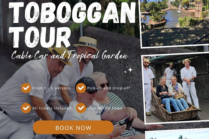 Madeira Highlights: Toboggan, Garden & Cable Car (All-Inclusive) - Riding above Funchal on the cable car