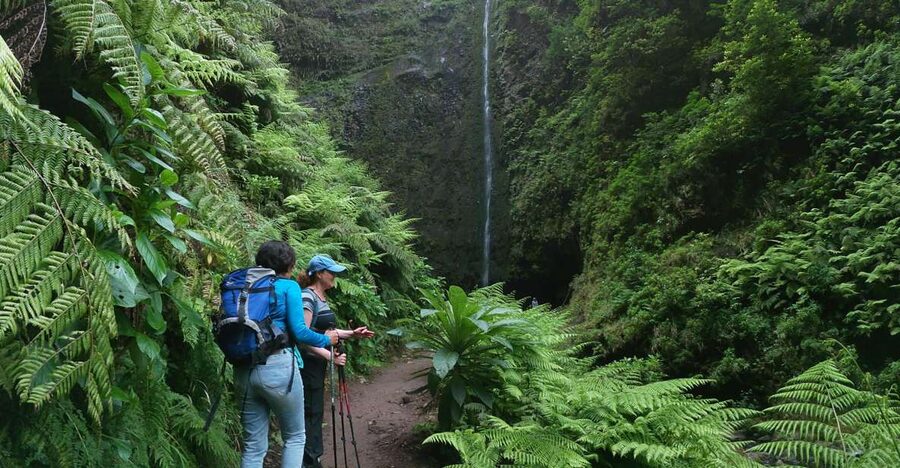 Madeira Island: Caldeirão Verde Levada Walk - Four tunnels and the character of the trail