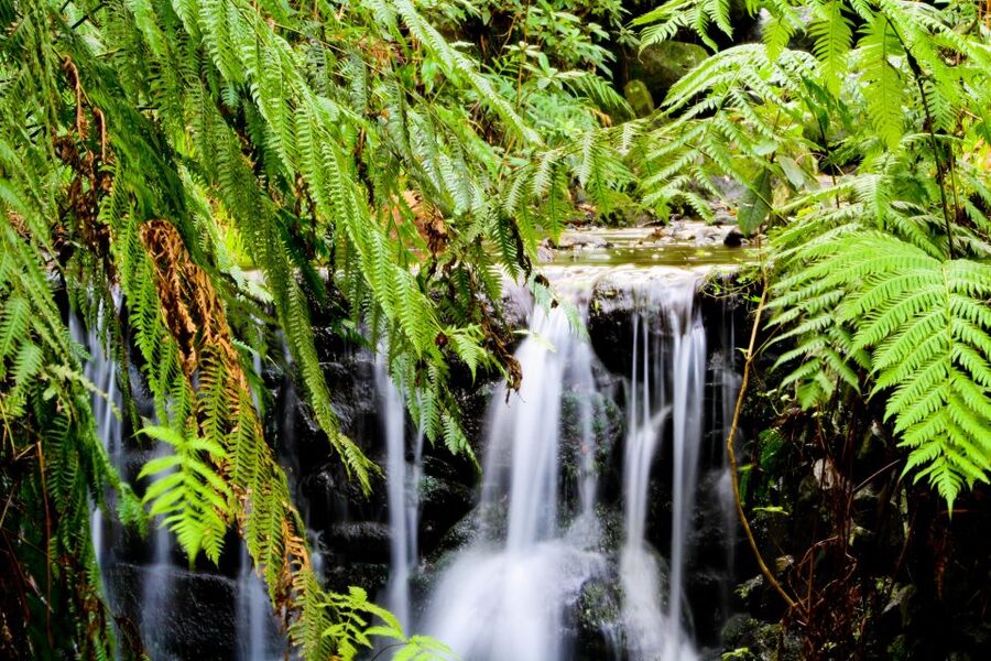 Madeira Island: Caldeirão Verde Levada Walk - Food, clothing, and the small costs