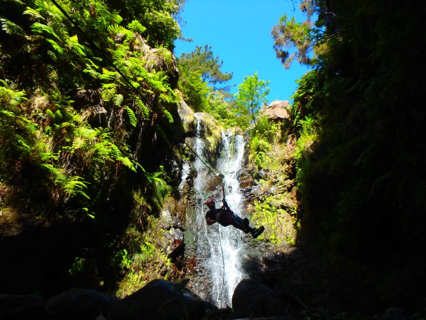 Madeira: Level-1 Canyoning Adventure - What level 1 canyoning in Madeira really involves