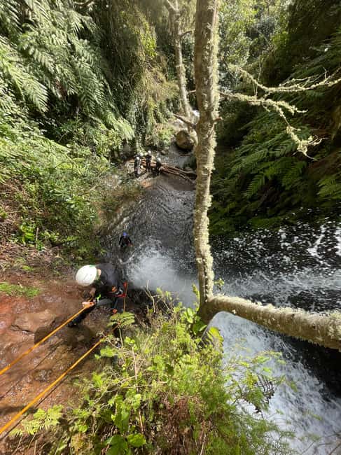 Madeira: Level-1 Canyoning Adventure - Is $80 a fair price?