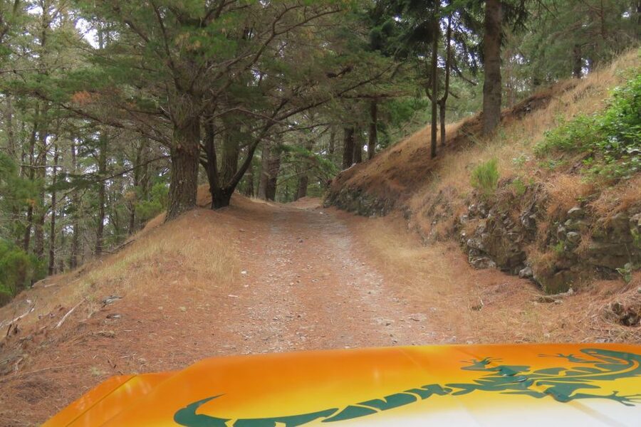 Madeira : Nun's Valleys and Pico Areeiro 4X4 Tour - Should you book the Nun’s Valley and Pico Areeiro 4x4 Tour?