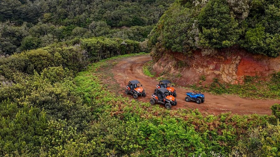 Madeira: Off-Road Buggy Adventure Through Laurissilva Forest - Who should book this Madeira adventure?