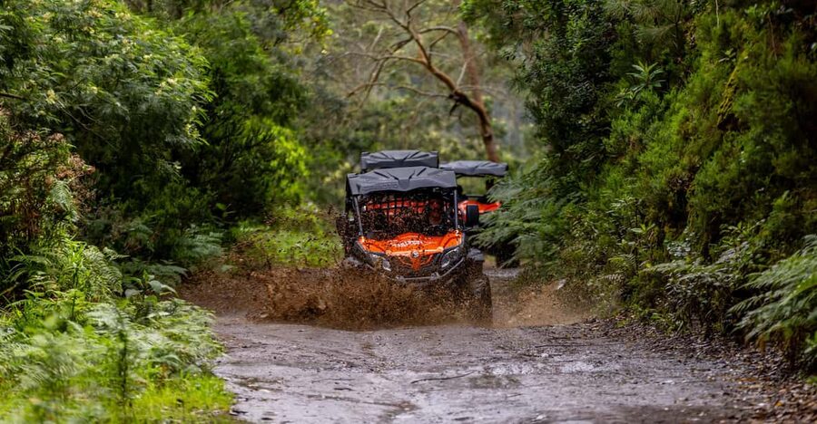 Madeira: Off-Road Buggy Adventure Through Laurissilva Forest - Starting at MadTours Adventure with a proper safety briefing