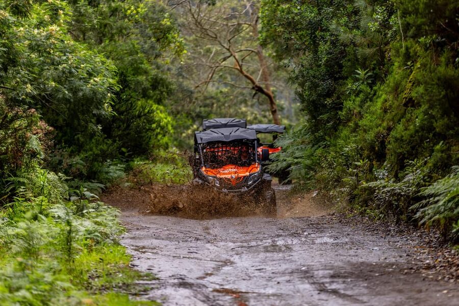 Madeira: Off-Road Buggy Adventure Through Laurissilva Forest - Boca do Risco brings the big north-coast view