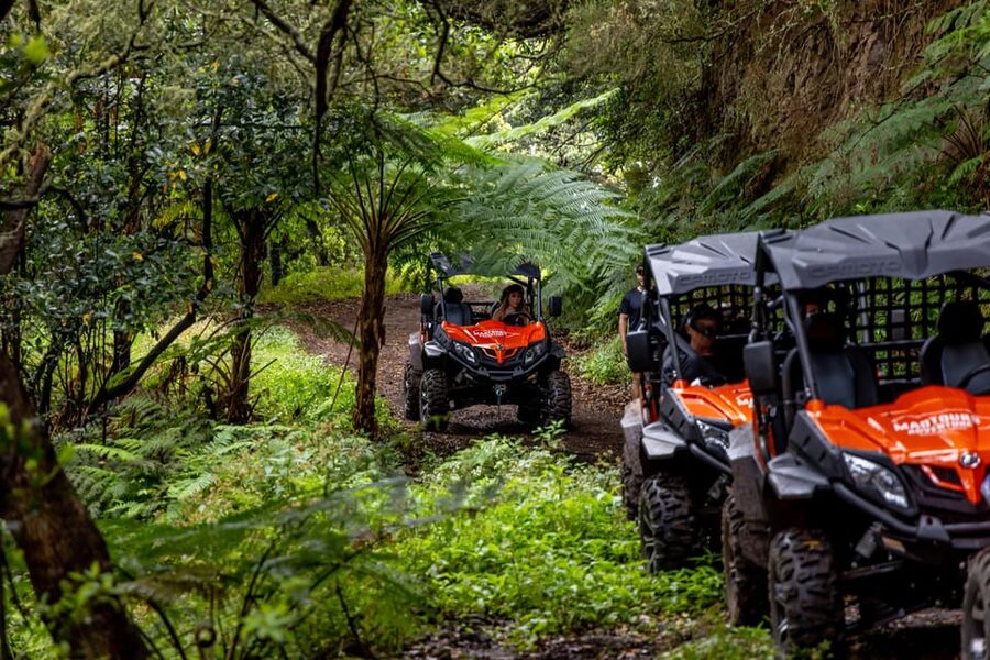 Madeira: Off-Road Buggy Adventure Through Laurissilva Forest - The guides are a major part of the experience