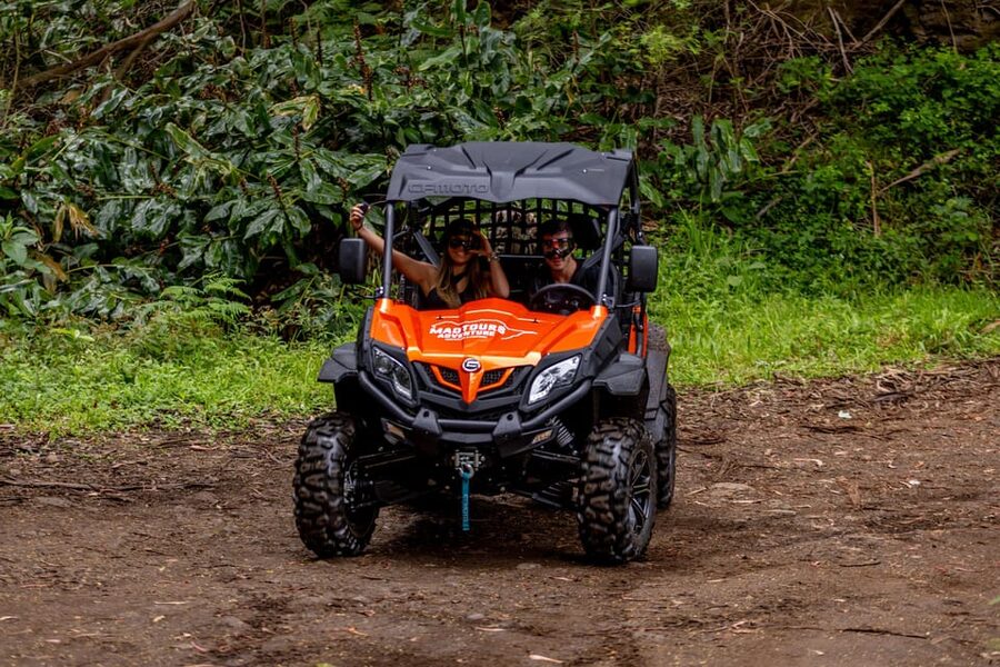 Madeira: Off-Road Buggy Adventure Through Laurissilva Forest - What the buggies are like to drive