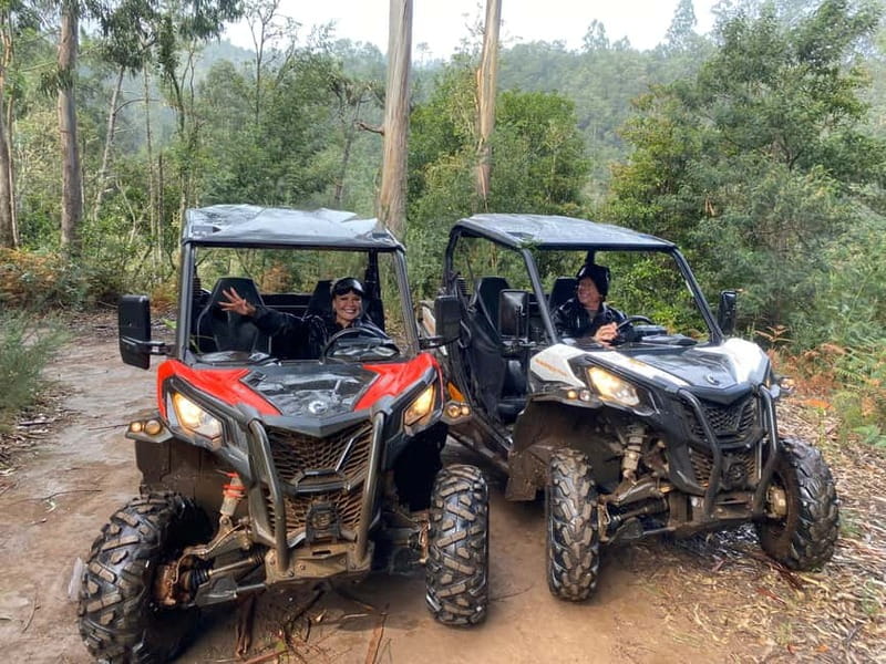 Madeira: Off-Road Buggy Driving Experience - Languages, timing, and cancellation