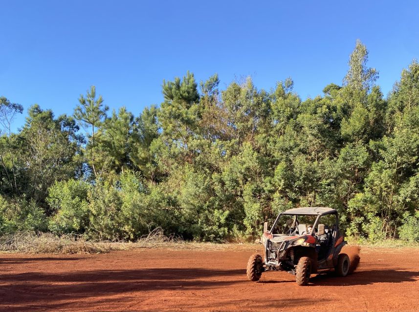 Madeira: Off-Road Buggy Driving Experience - How difficult is the ride?