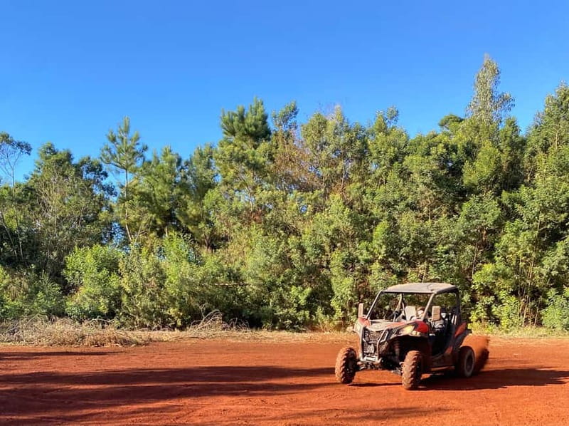 Madeira: Off-Road Buggy Driving Experience - Price and value for two people
