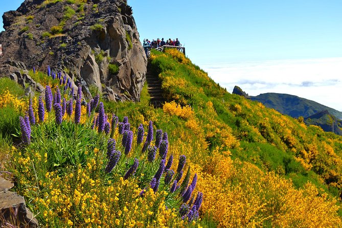 Madeira Peaks - Mountain Walk - Reaching Pico Ruivo, Madeira’s highest summit