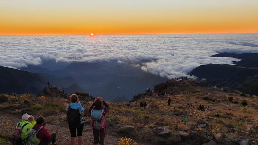 Madeira: Pico do Areeiro Sunrise Tour - Key points to know before you book