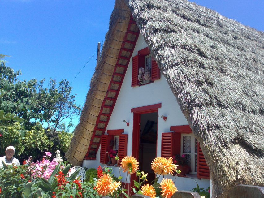 Madeira: Pico do Arieiro & Laurissilva Forest - East tour - Walking through Laurissilva Forest