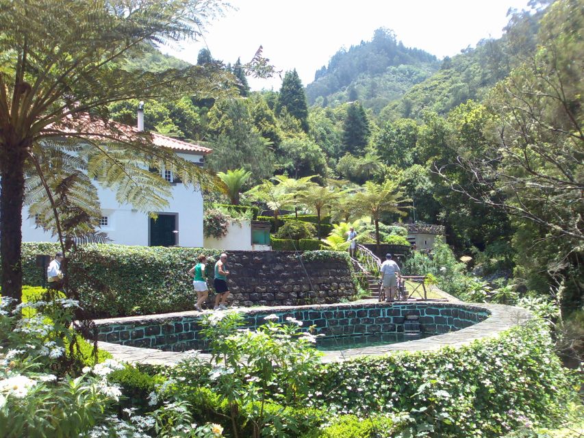 Madeira: Pico do Arieiro & Laurissilva Forest - East tour - Porto da Cruz, Machico, and the old sugar economy
