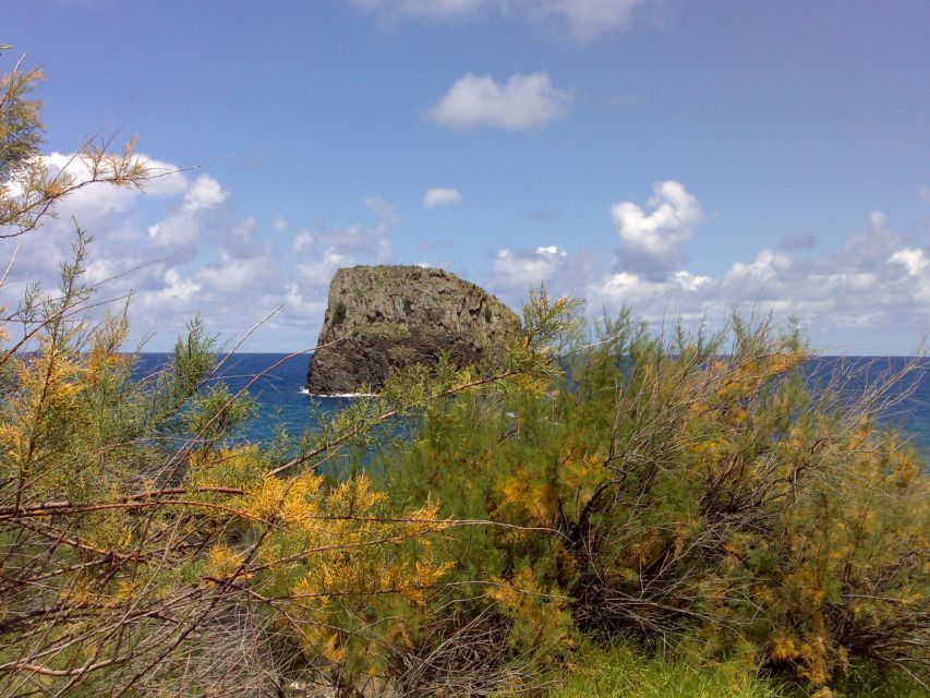 Madeira: Pico do Arieiro & Laurissilva Forest - East tour - Camacha and the road to the high peaks