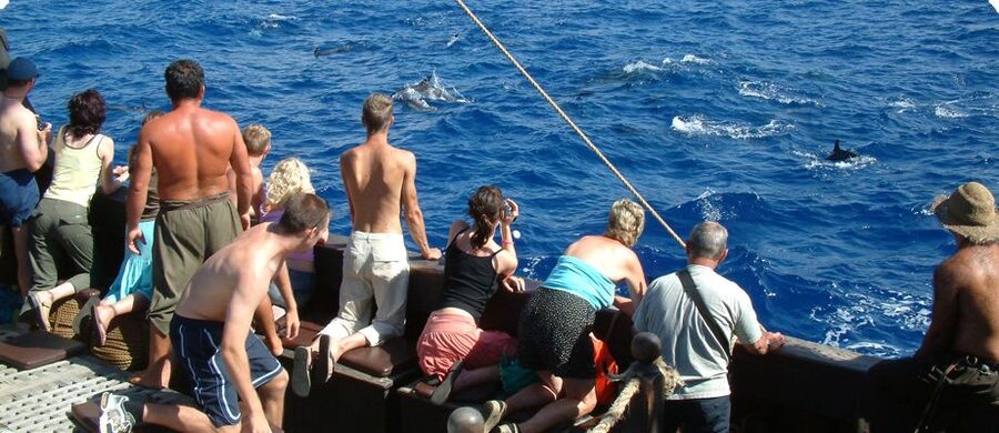 Madeira Pirate Ship: 3-Hour Boat Trip - Sailing out of Funchal on the Santa Maria de Colombo