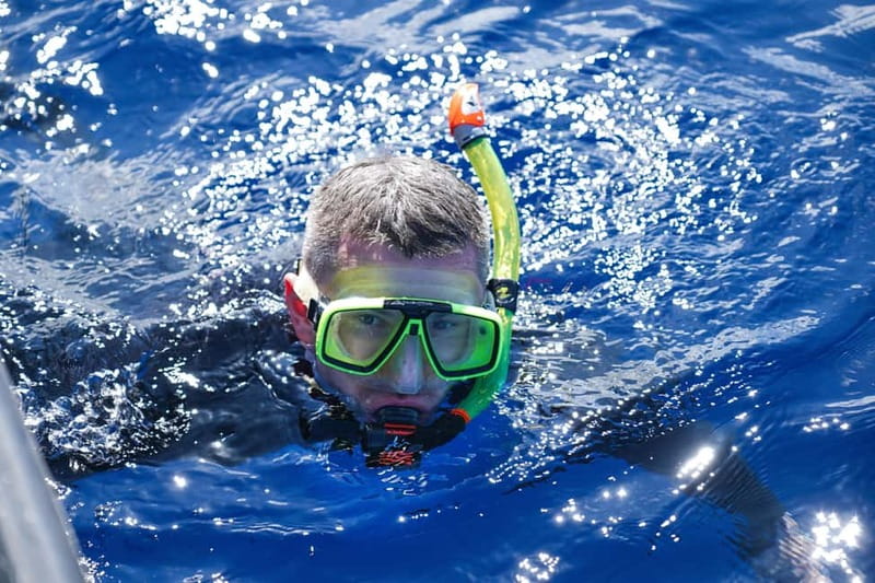 Madeira: Ponta de São Lourenço Snorkeling Boat Trip - How much value you get for $41