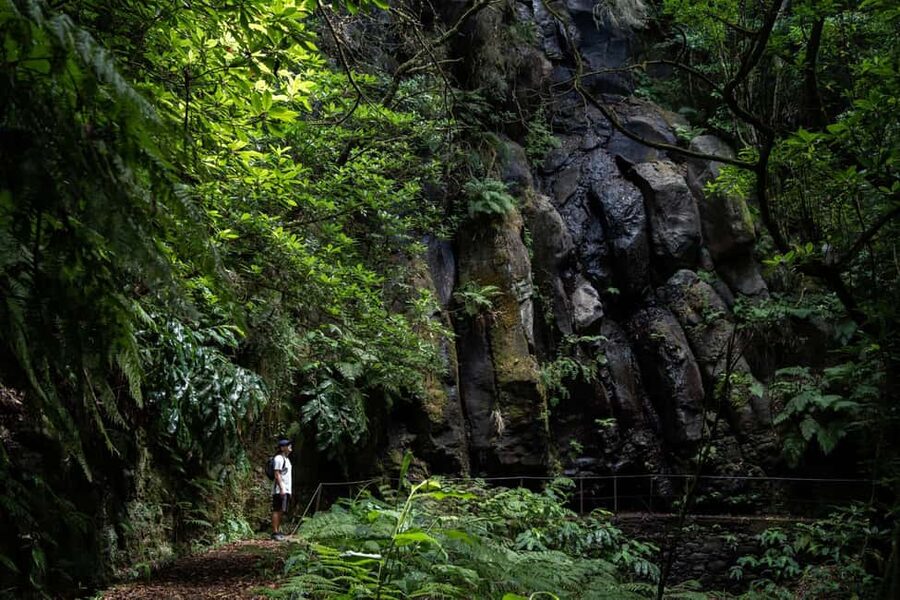 Madeira: PR 9 - Levada do Caldeirão Verde Hike Transfer - Key points to know before booking