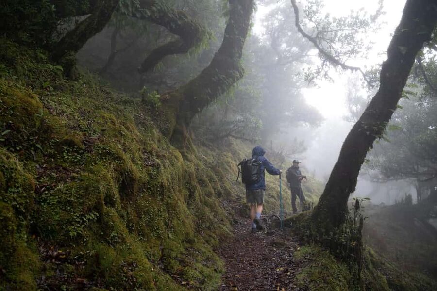 Madeira: PR 9 - Levada do Caldeirão Verde Hike Transfer - What the driver briefing adds