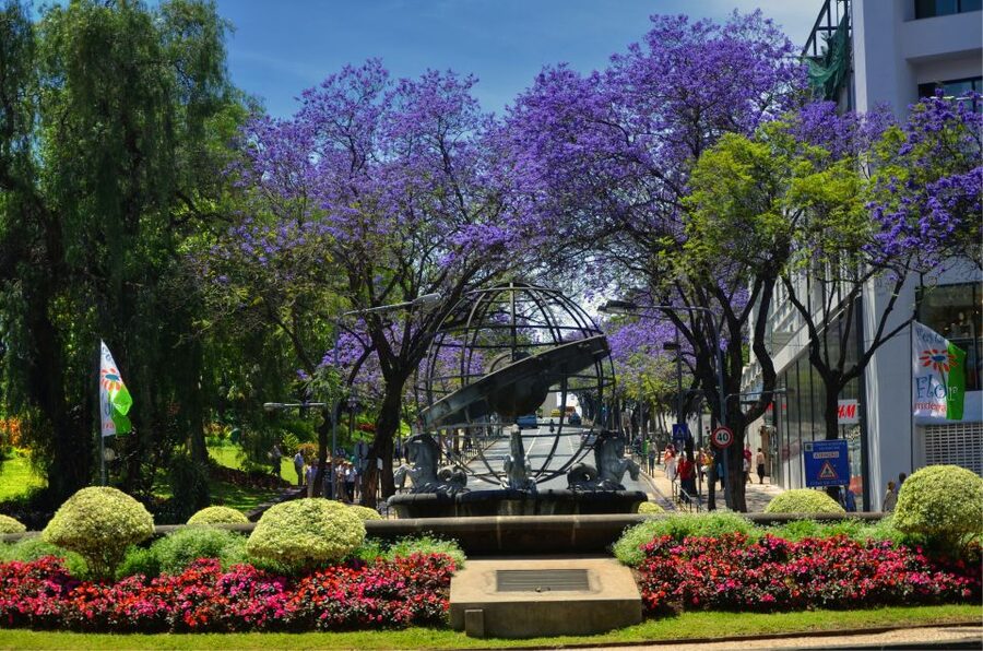Madeira: Private Funchal City Tour in a Tukxi - What the 90 minutes really covers