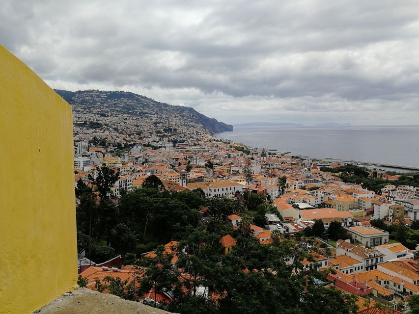 Madeira: Private Funchal City Tour in a Tukxi - The guides make the difference