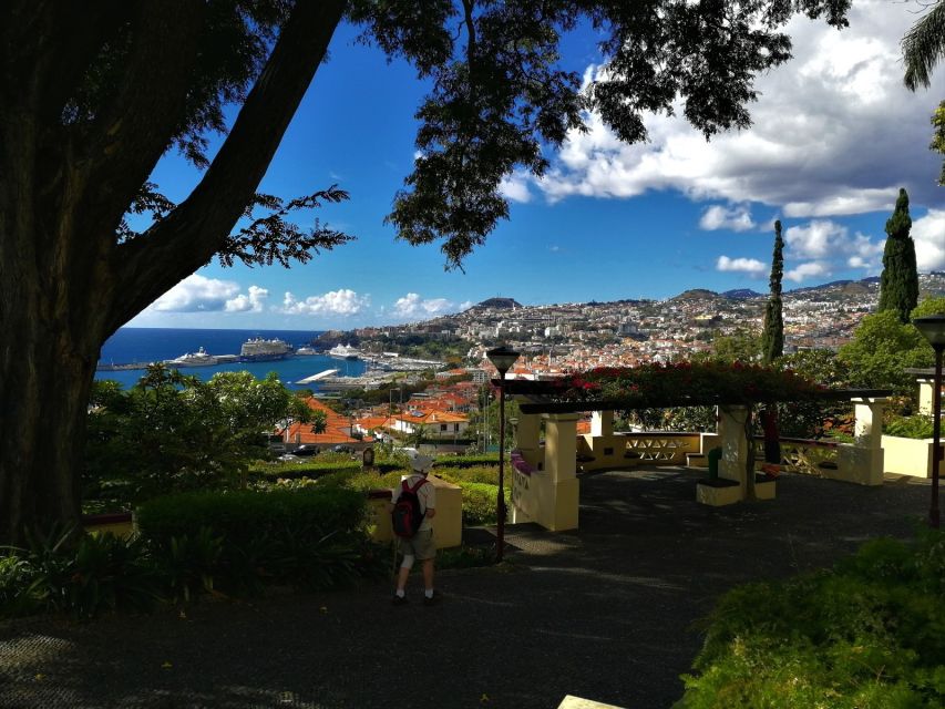 Madeira: Private Funchal City Tour in a Tukxi - From Funchal’s streets to São João do Pico