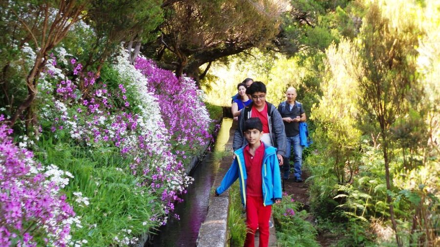 Madeira: Rabaçal 25 Fountains Levada Walk & Cabo Girão - Why the 25 Fontes walk is Madeira’s main event