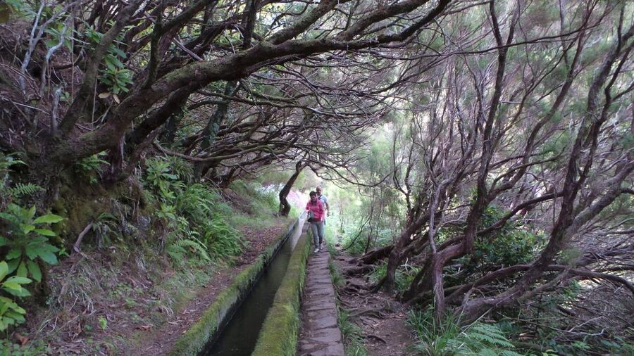Madeira: Rabaçal 25 Fountains Levada Walk & Cabo Girão - Cabo Girão and the glass floor above the Atlantic