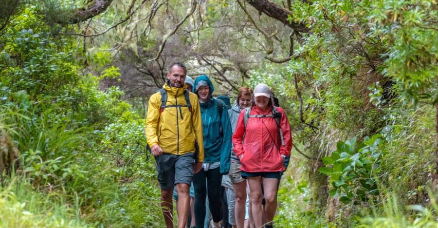 Madeira: Rabaçal 25 Fountains Levada Walk & Cabo Girão - Who will enjoy this Madeira day trip?