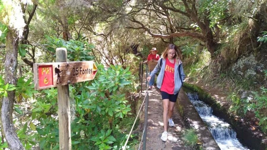 Madeira: Rabaçal, Risco and 25 Fontes Guided Hiking Tour - Key points to know before you book