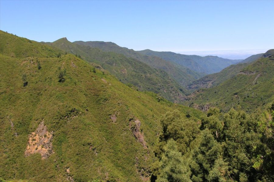 Madeira: Rabaçal, Risco and 25 Fontes Guided Hiking Tour - Who should book this Madeira hike?