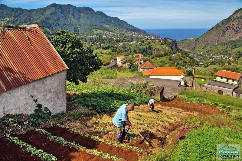 Madeira: Santana Jeep Safari and Balções Levada Walk - Cova da Roda and the short off-road ride