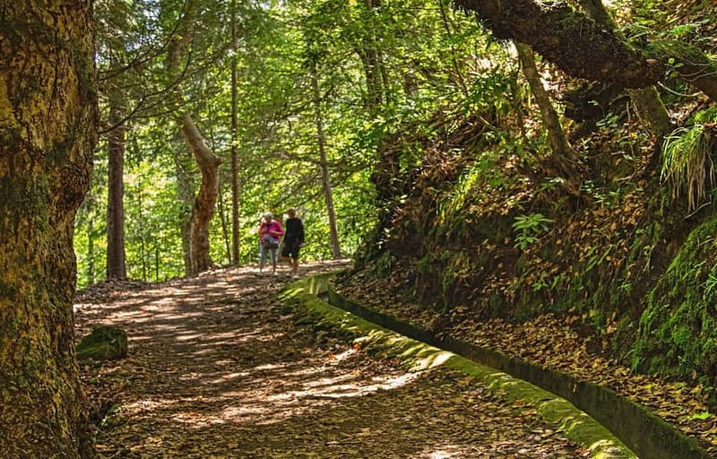 Madeira: Santana Jeep Safari and Balções Levada Walk - Faial and the view across eastern Madeira