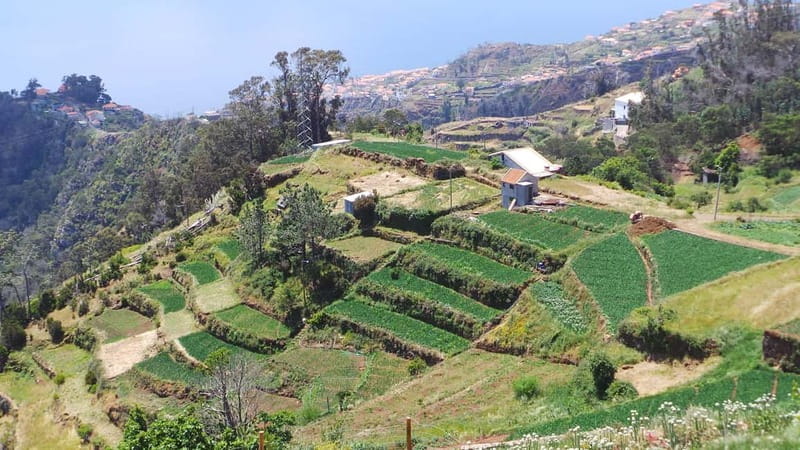 Madeira: Santana Jeep Safari and Balções Levada Walk - Porto da Cruz and Madeira’s rum tradition