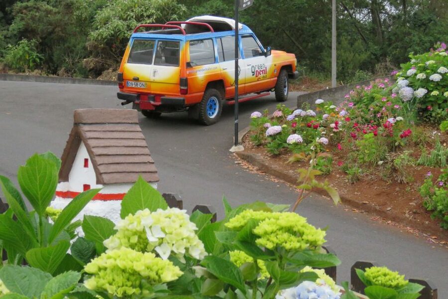 Madeira : Santana & Peaks full day tour by Open 4x4 - Up through Madeira’s Laurisilva forest