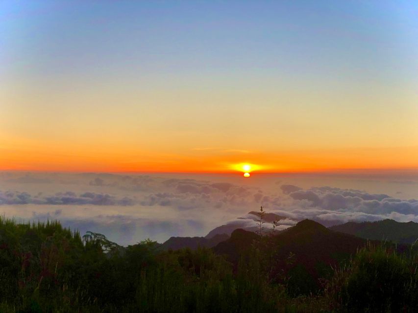 Madeira: Sunrise at Pico do Arieiro & Hike Larano trail - What the guides add to the morning