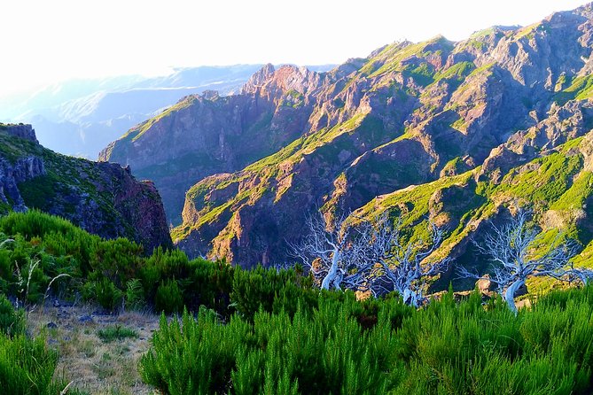 Madeira Top Sunrise - The 4am pickup from Funchal or Caniço
