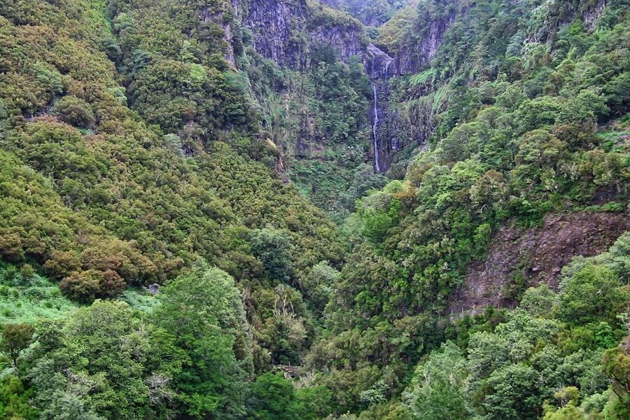 Madeira Walks - Rabaçal and the 25 Fountains - The four-hour trail through Rabaçal