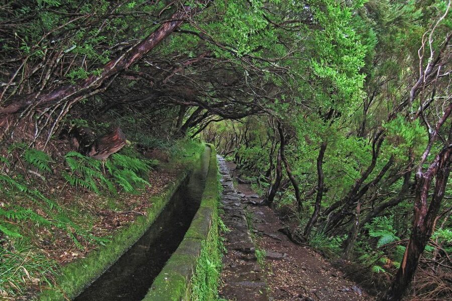Madeira Walks - Rabaçal and the 25 Fountains - The 25 Fountains and the crystal-clear lake